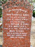 image of grave number 596502